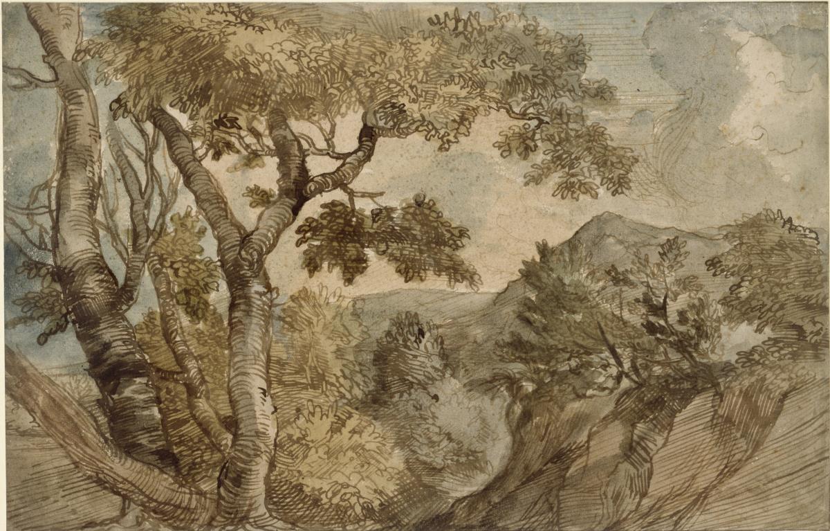 Bergige Landschaft mit Baumgruppe