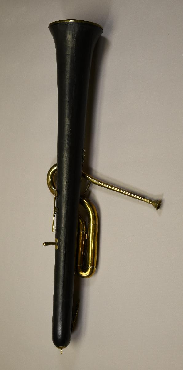 Serpent Forveille