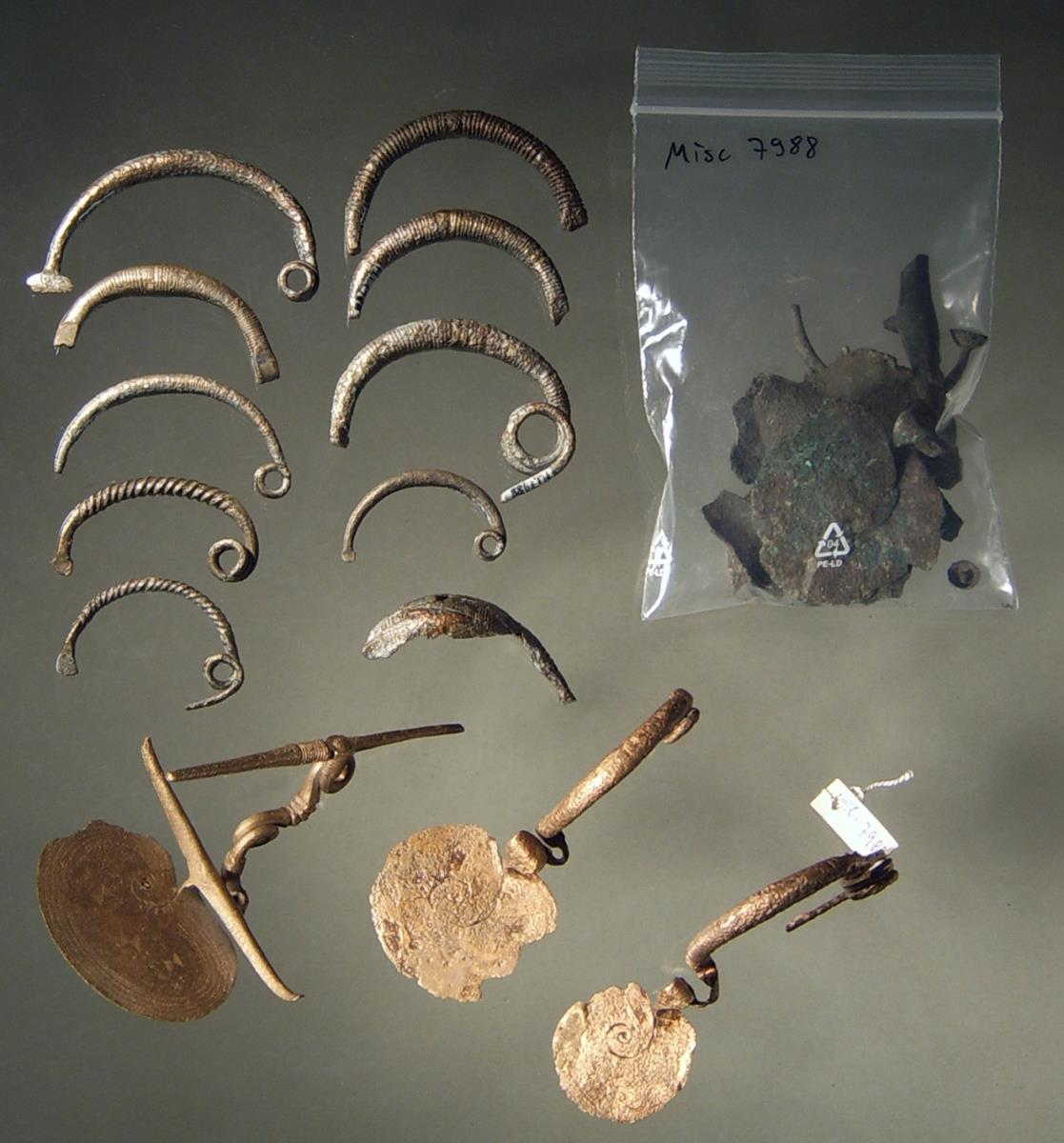 ... u. a. eine Schlangenfibel mit Fuβdiskus