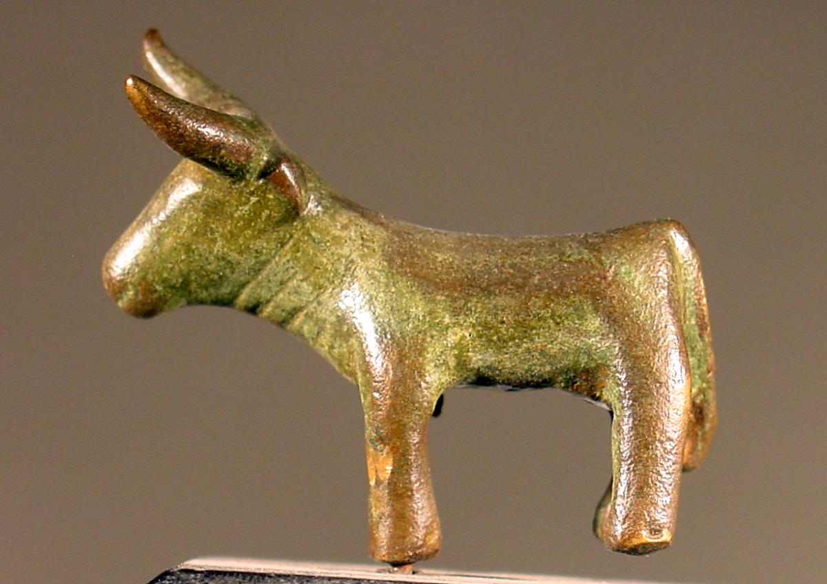 Stier