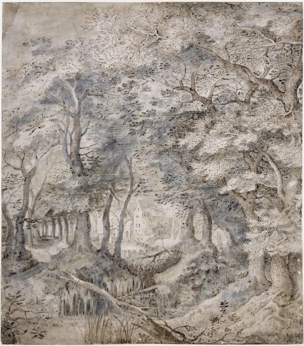 Waldlandschaft