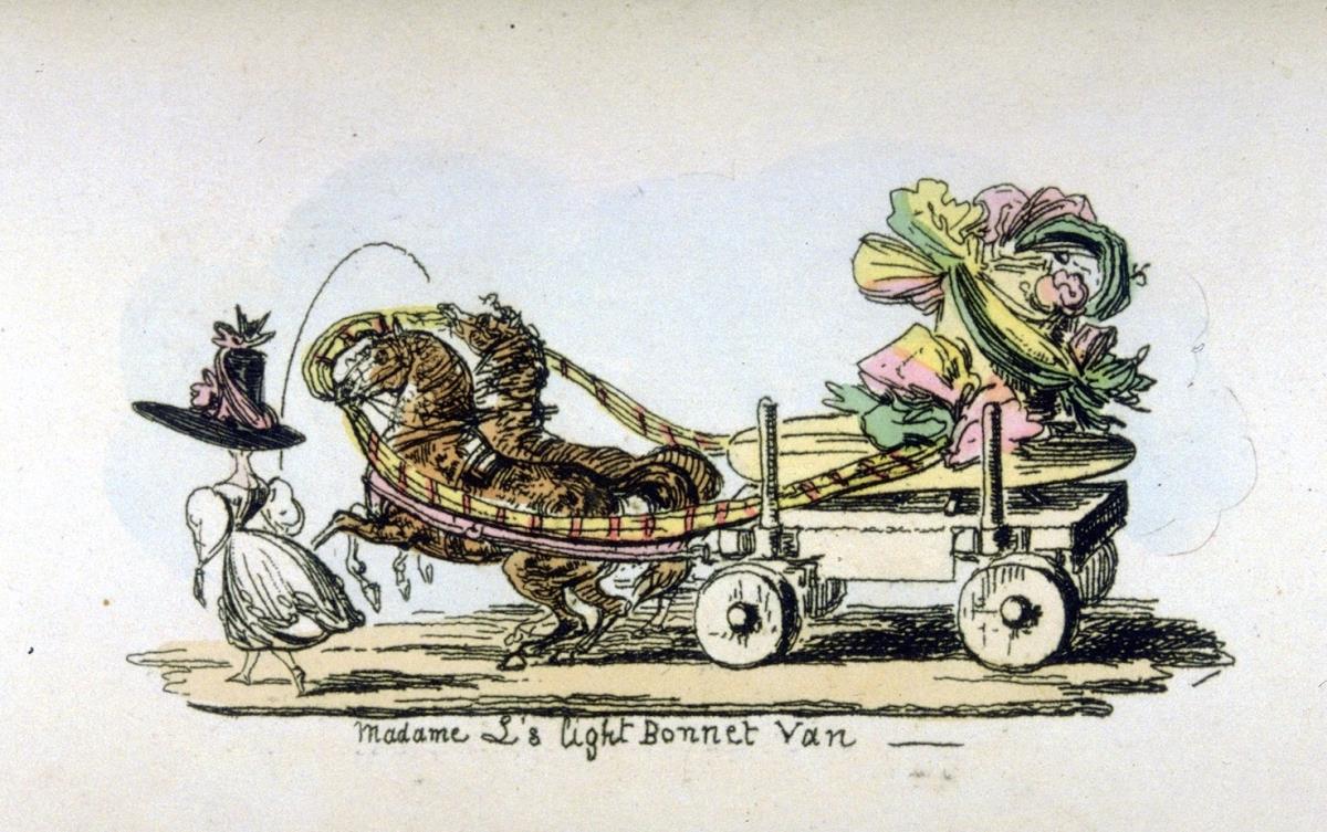 Madame L's light Bonnet Van