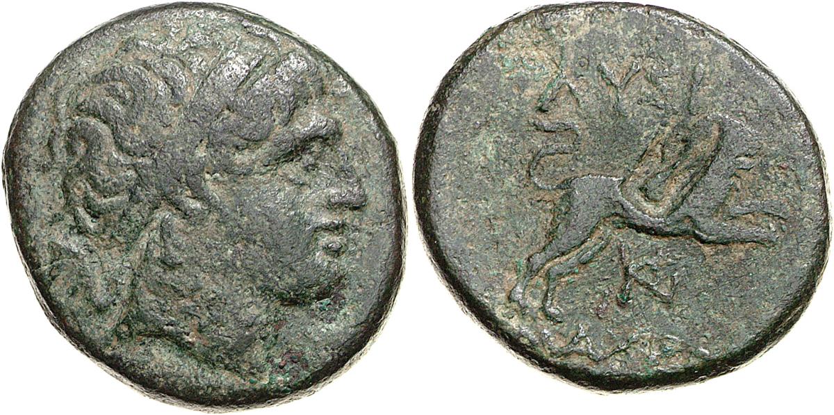 Lysimacheia