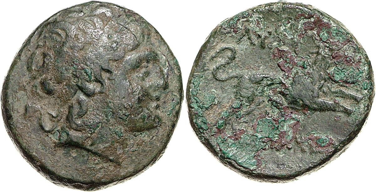 Lysimacheia