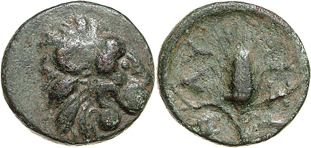 Lysimacheia