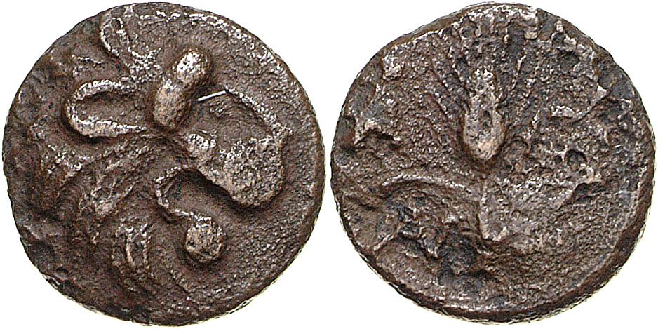 Lysimacheia