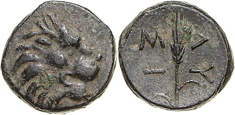 Lysimacheia