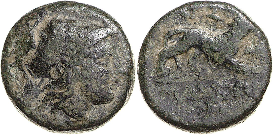 Lysimacheia