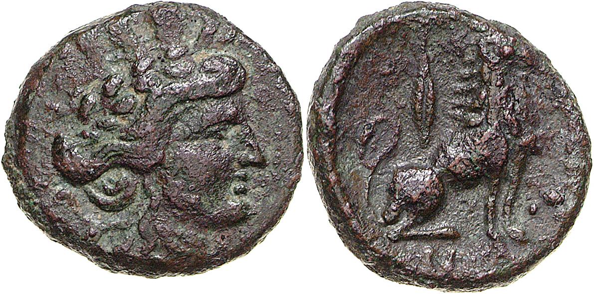 Lysimacheia