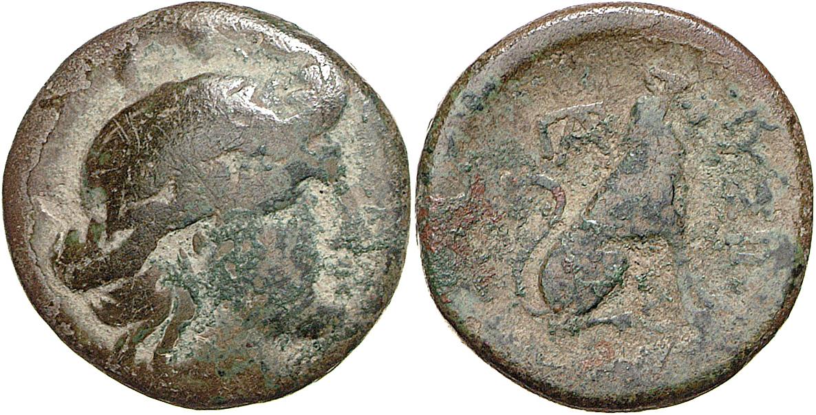 Lysimacheia