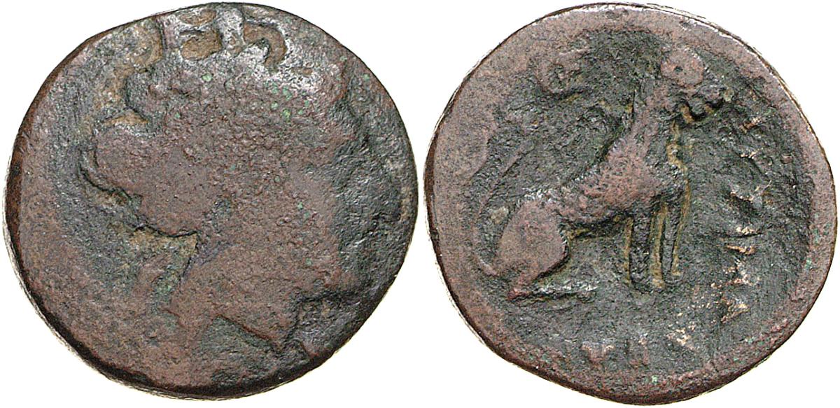 Lysimacheia