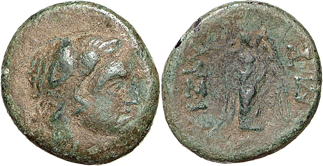 Lysimacheia