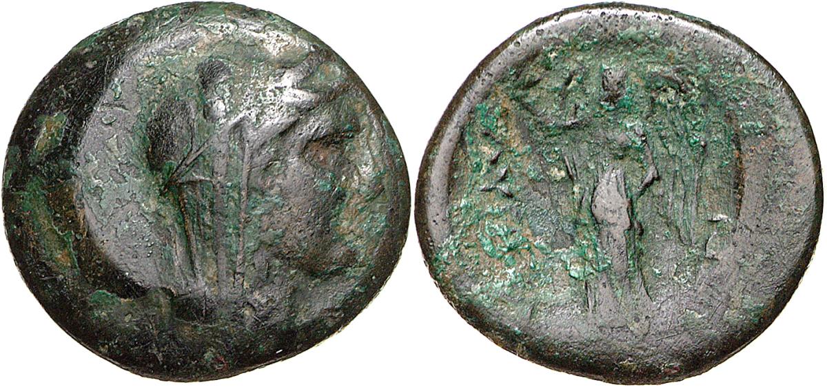 Lysimacheia