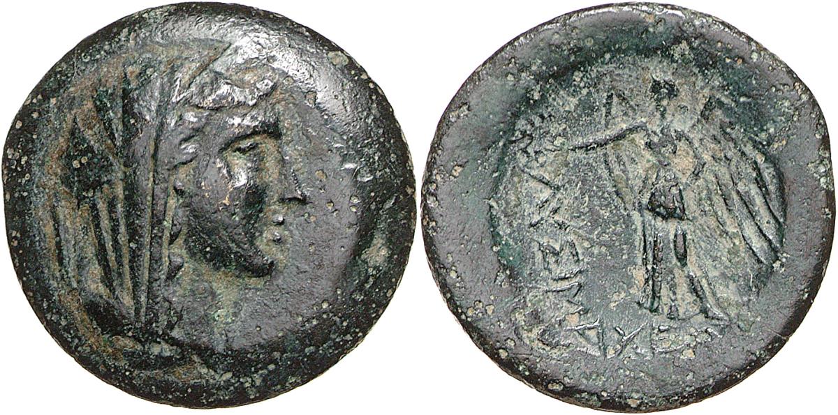 Lysimacheia