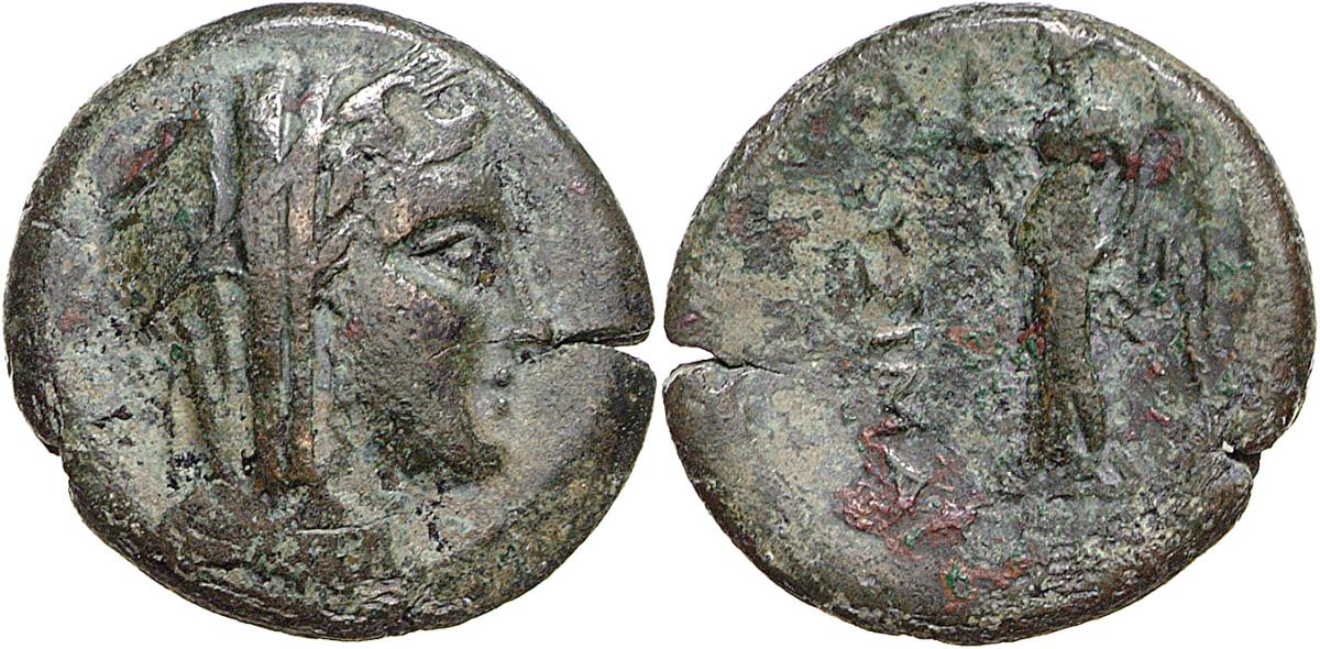 Lysimacheia