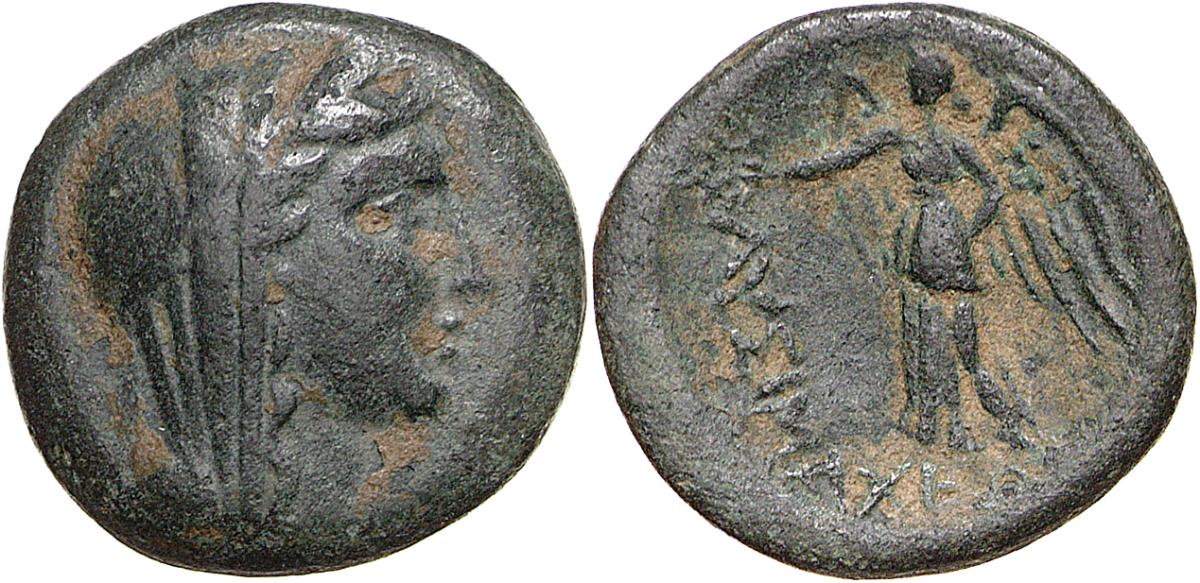 Lysimacheia