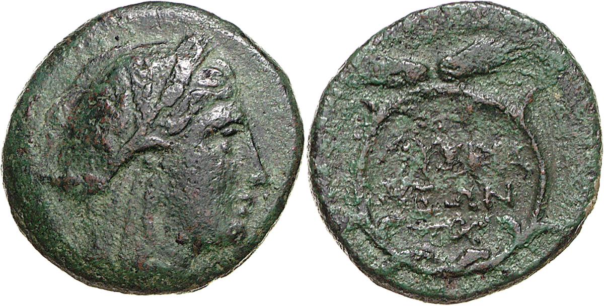 Lysimacheia