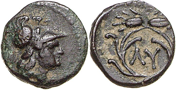 Lysimacheia