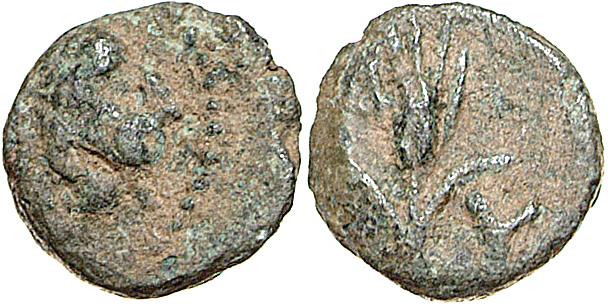 Lysimacheia