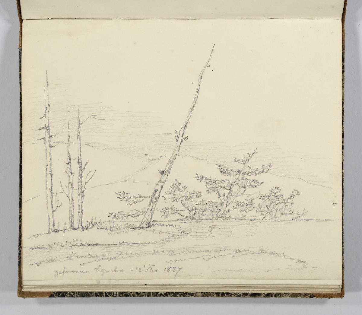 Landschaft mit abgestorbenen Bäumen