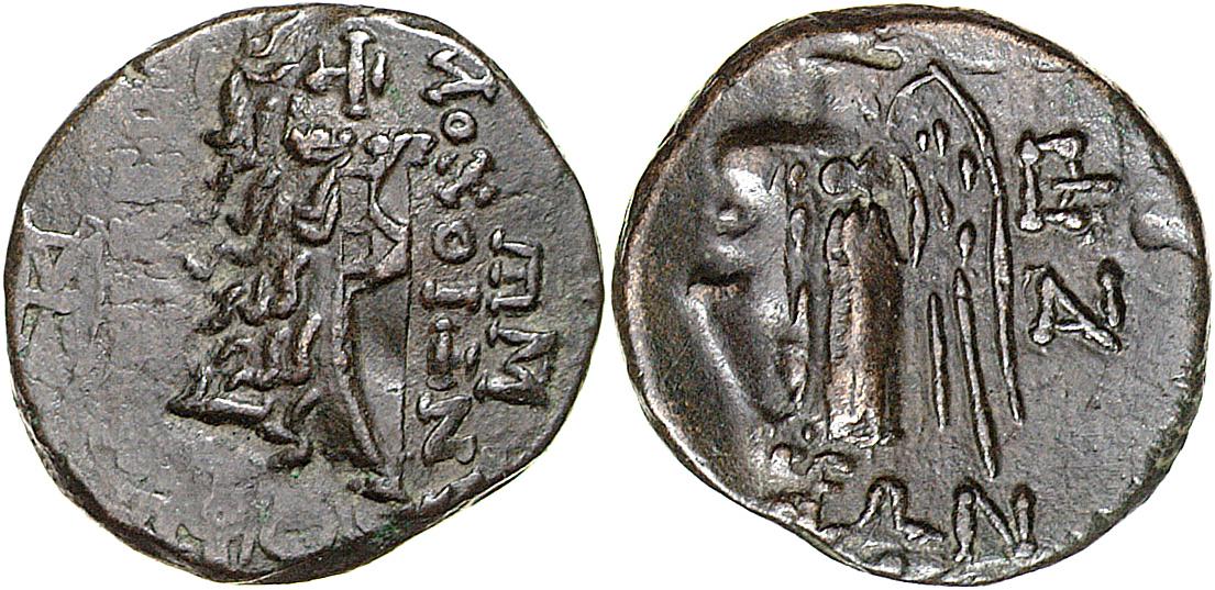 Lysimacheia