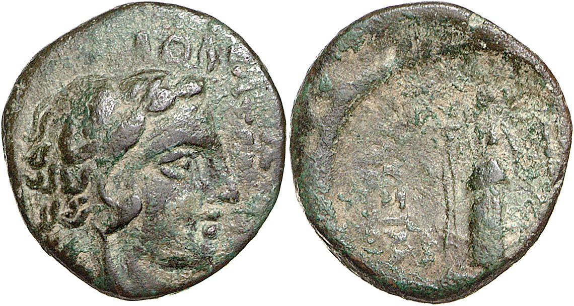 Lysimacheia