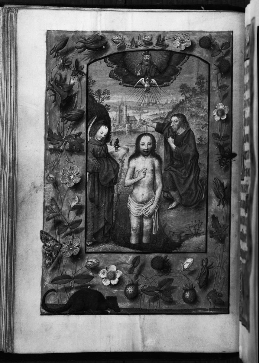 Taufe Christi und Umrahmung mit Blumen, Erdbeeren, Tieren usw.