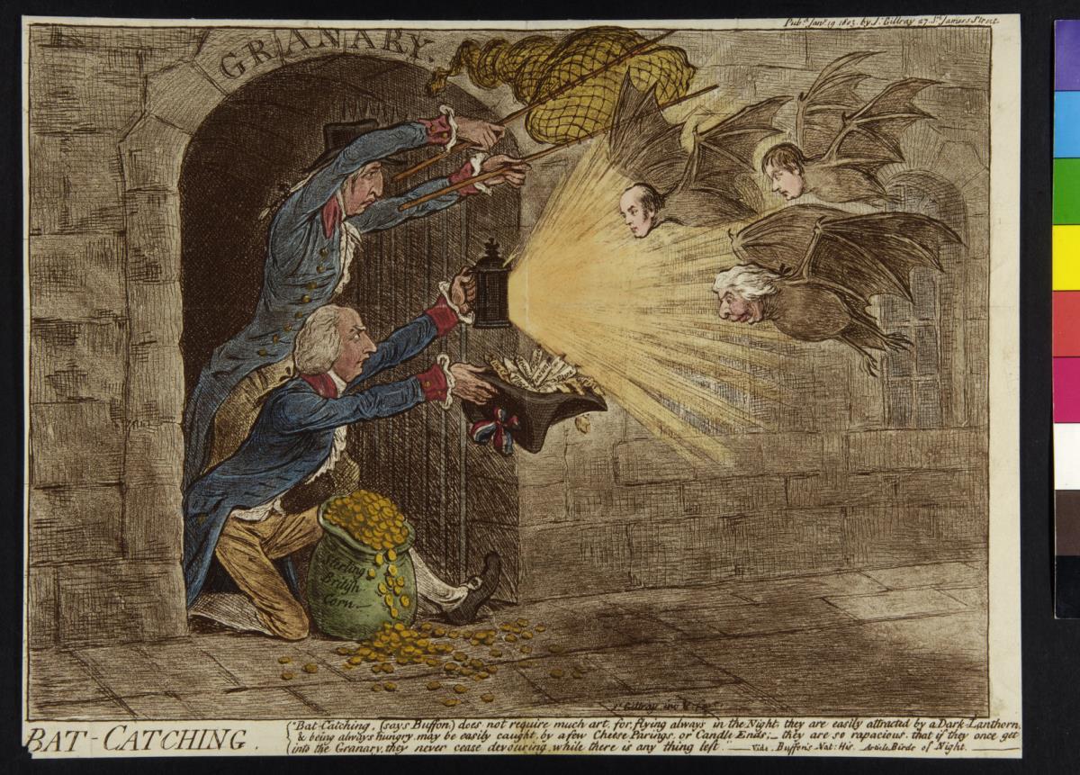 Bat-catching