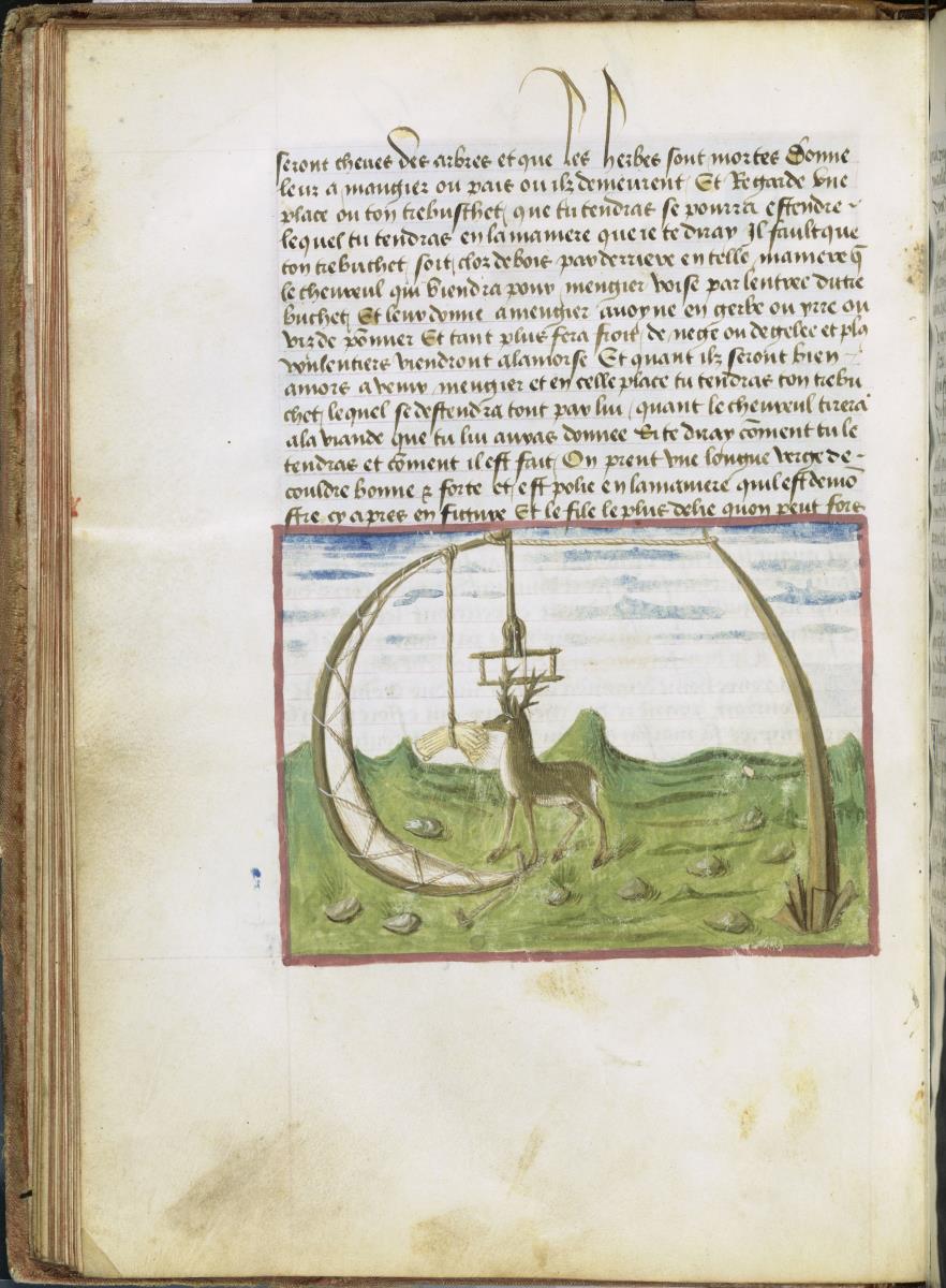 Hirschfalle. Le livre du roi Modus et de la reine Ratio, lequel fait mention comment on doit deviser de toutes manieres de chasse