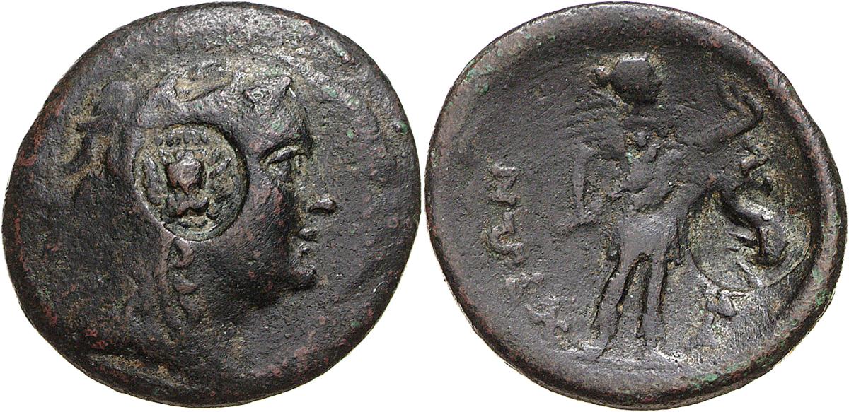 Lysimacheia