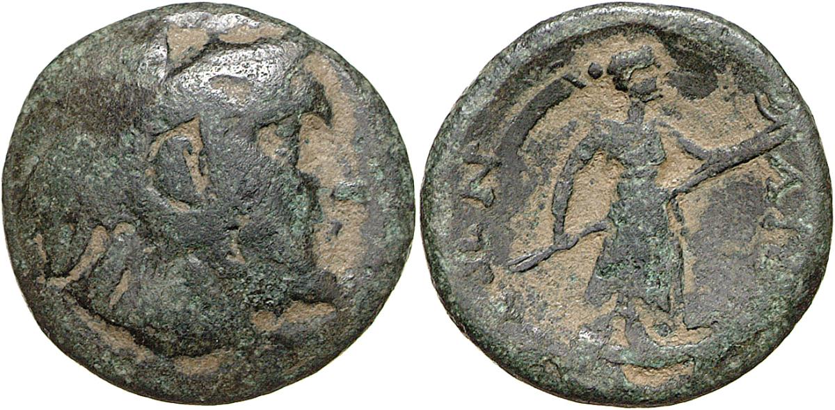 Lysimacheia