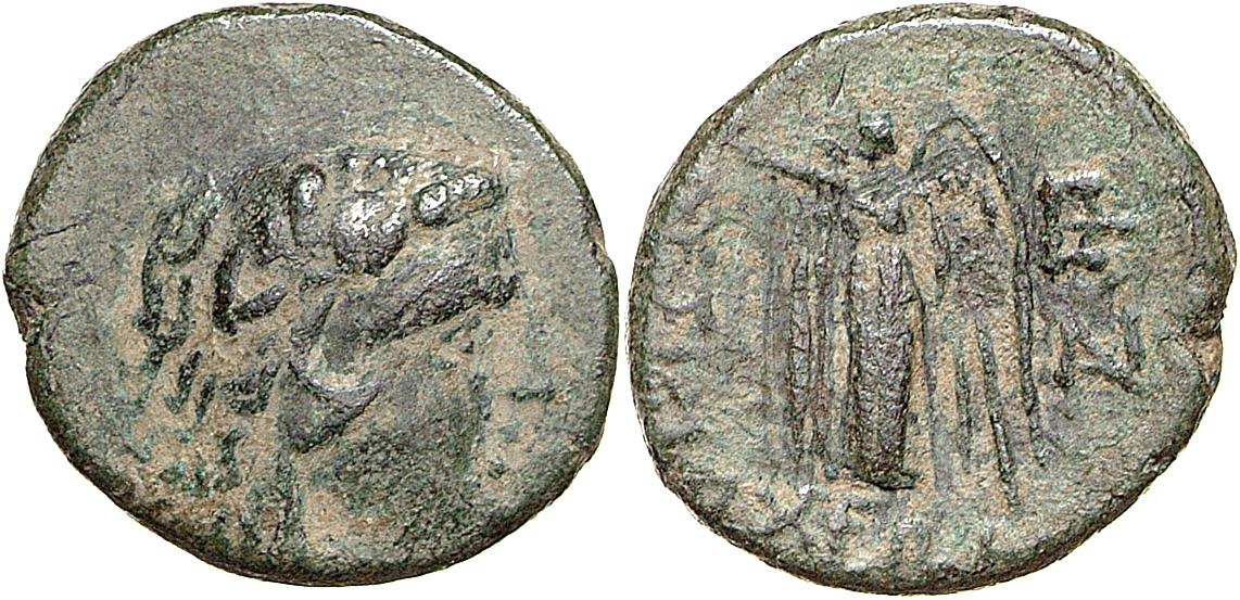 Lysimacheia
