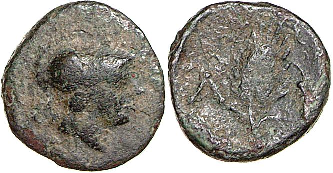 Lysimacheia