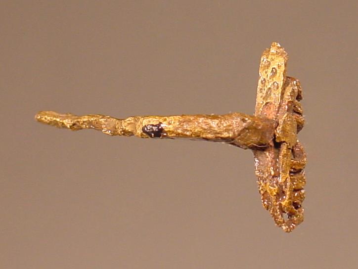 Fibelfragment
