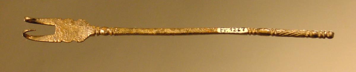 Medizinisches Instrument, in zwei Haken auslaufend