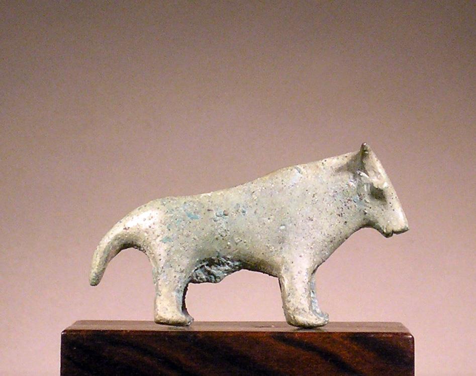 Rind (Stier)