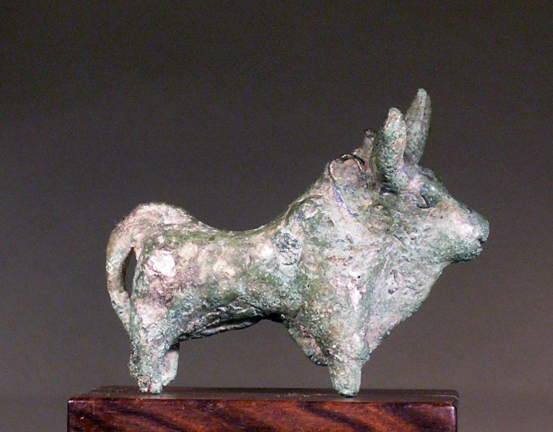Rind (Stier)