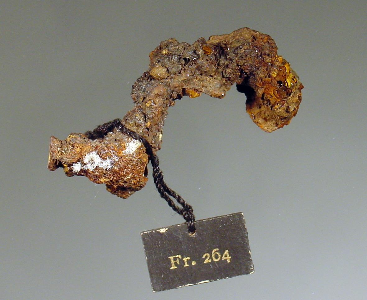 Fibelfragment mit Gewandrest