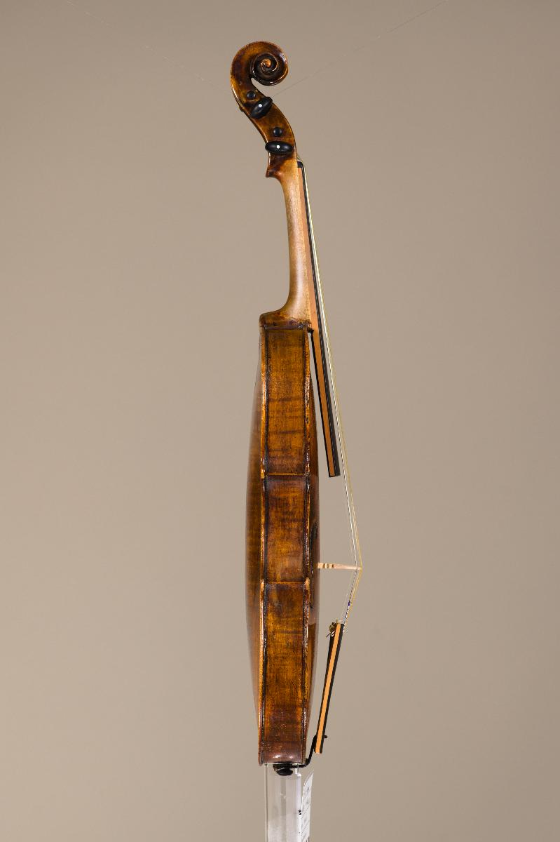 Violine