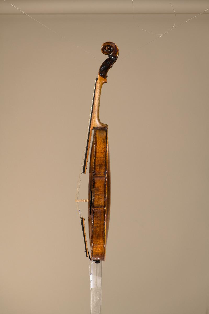 Violine