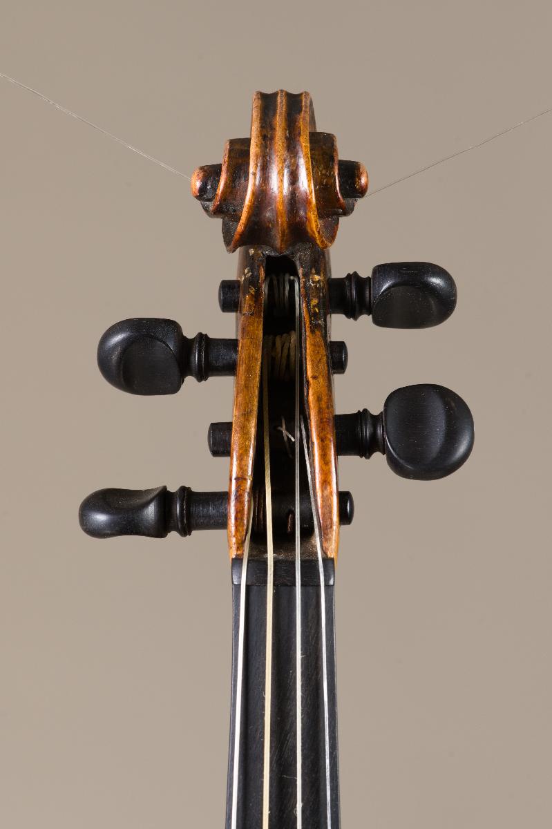 Violine