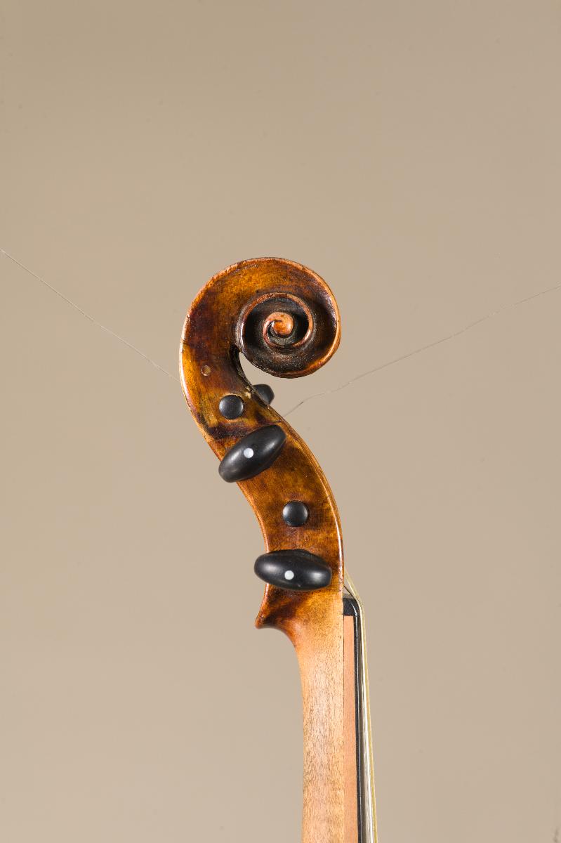 Violine