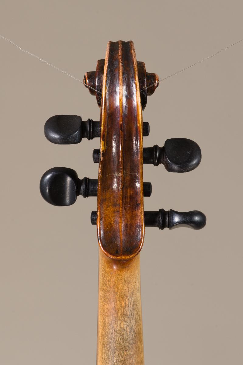 Violine