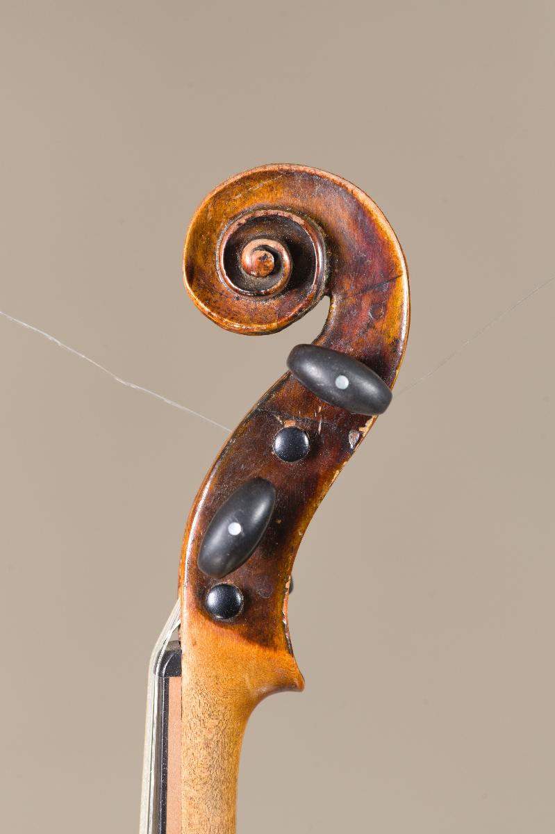 Violine