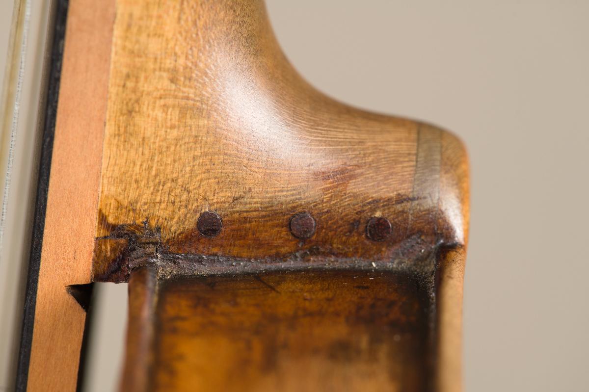 Violine
