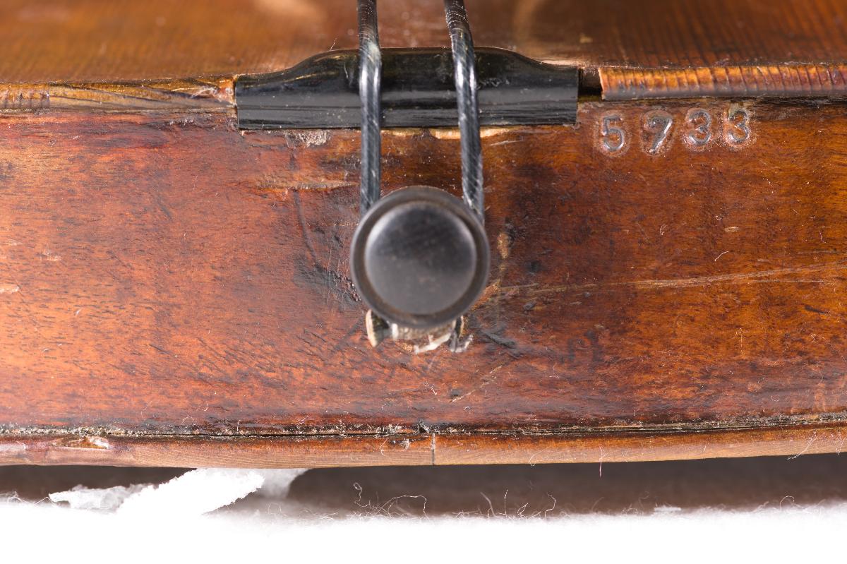Violine
