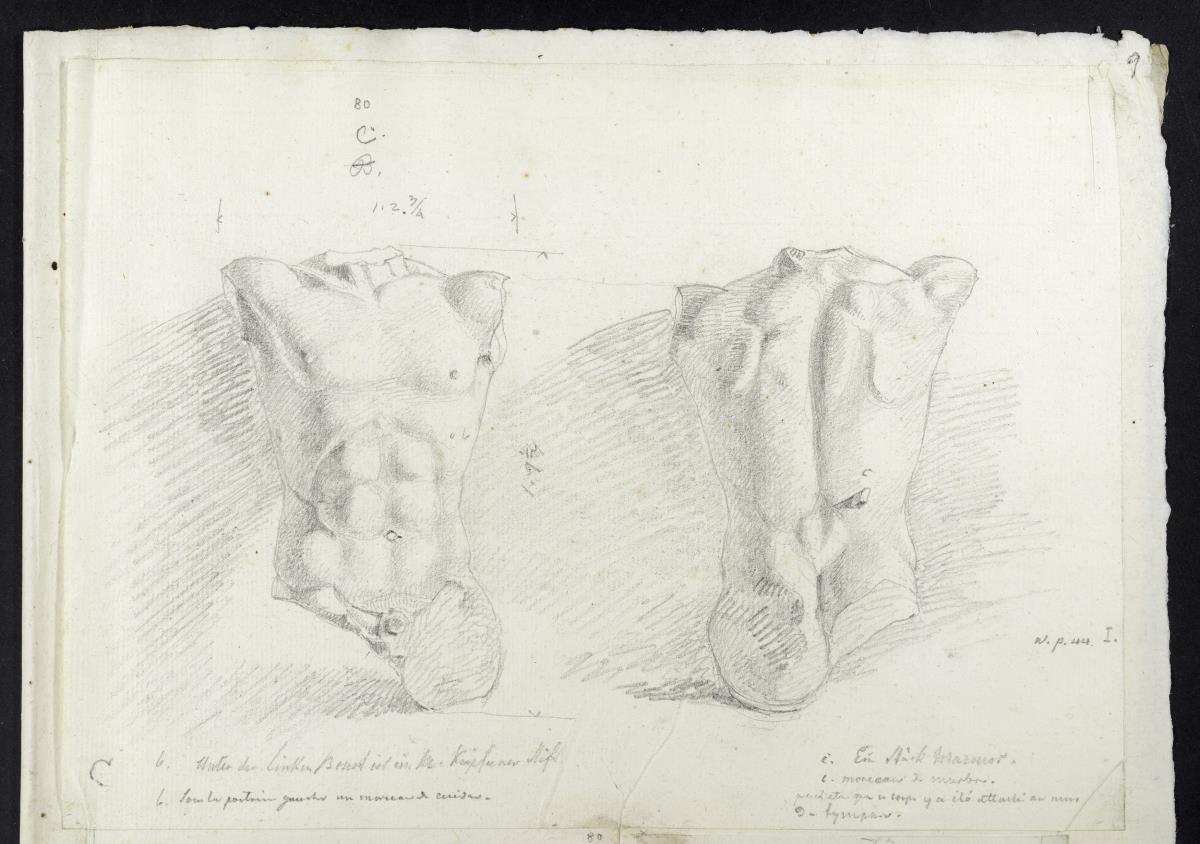 Aegineten-Skizzen, männlicher Torso, zwei Skizzen