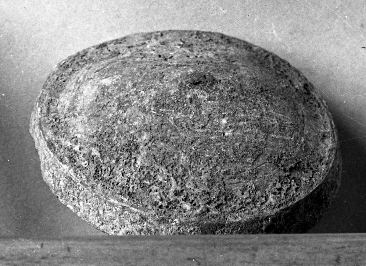 Nagelkopf