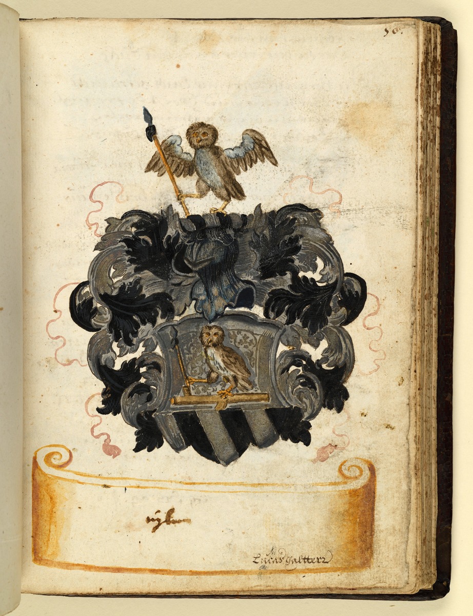 Stammbuch des Leonhard Hayder von Nürnberg: Wappen