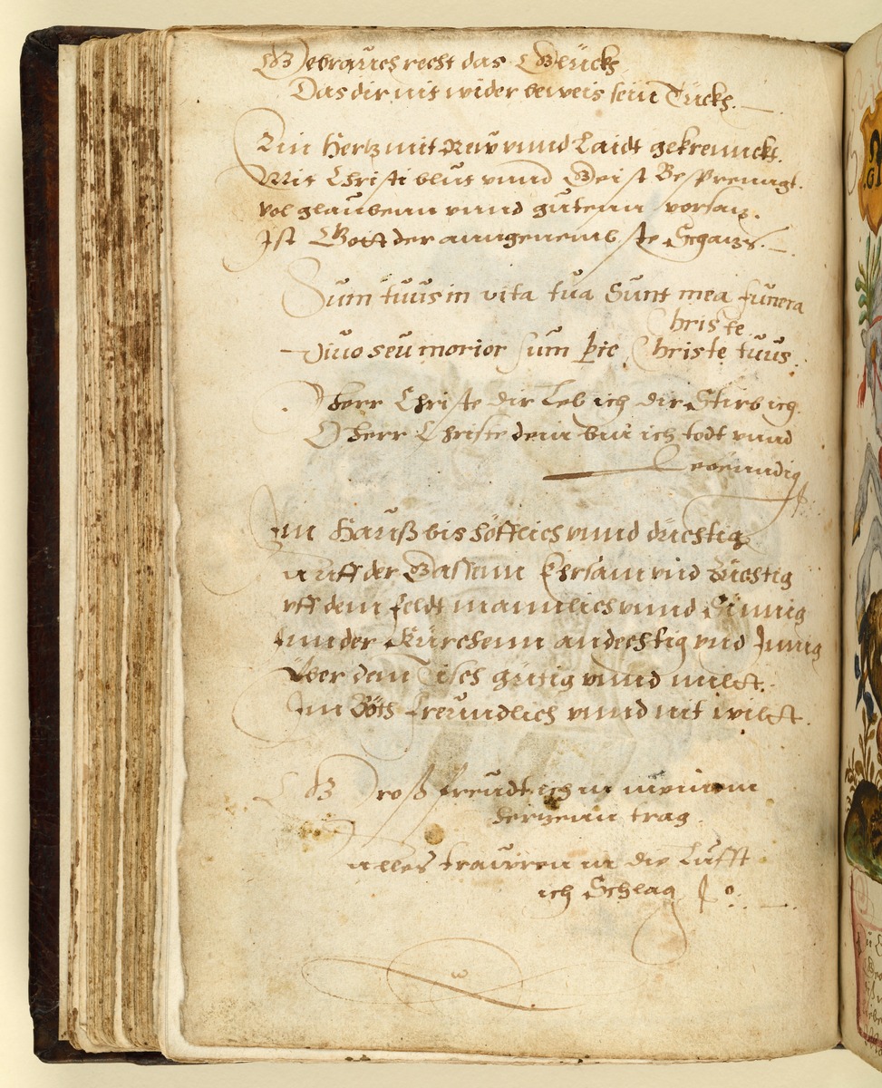 Stammbuch des Leonhard Hayder von Nürnberg: Wappen